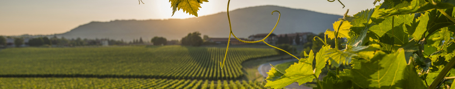 Franciacorta Hotel